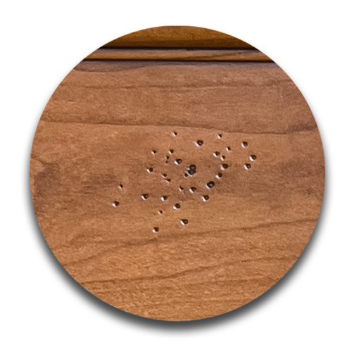 Signature-Details-Closeups-Worm-Holes
